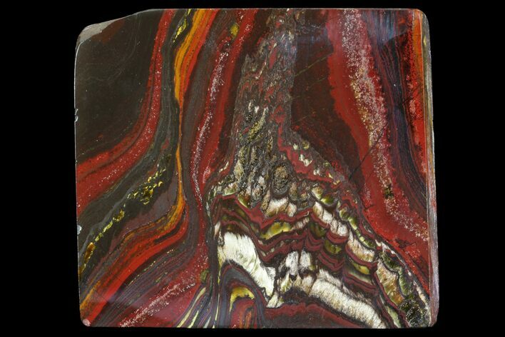 Polished Tiger Iron Stromatolite - ( Billion Years) #75836